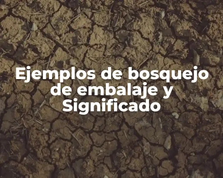Ejemplos de bosquejo de embalaje y Significado