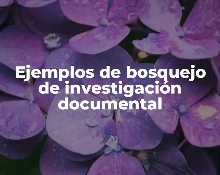 Ejemplos de bosquejo de investigación documental