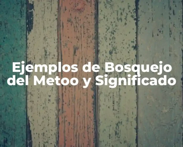 Ejemplos de Bosquejo del Metoo y Significado