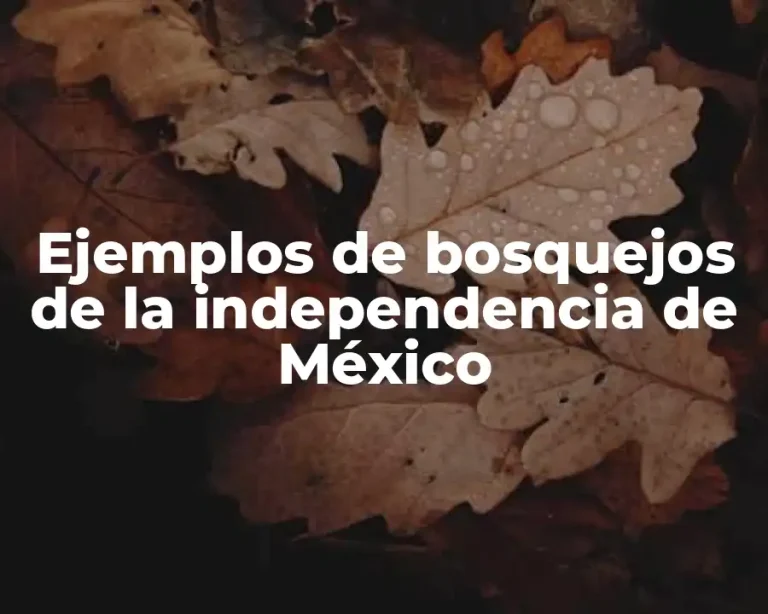 Ejemplos de bosquejos de la independencia de México