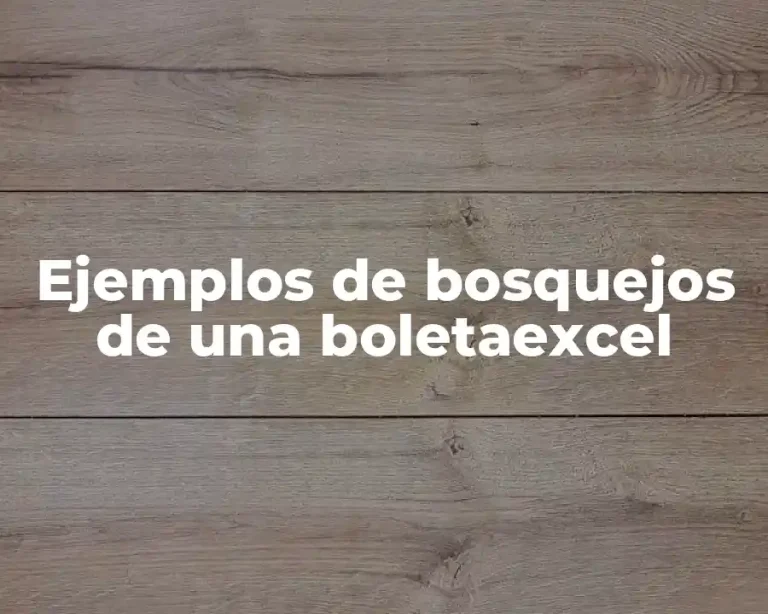 Ejemplos de bosquejos de una boletaexcel