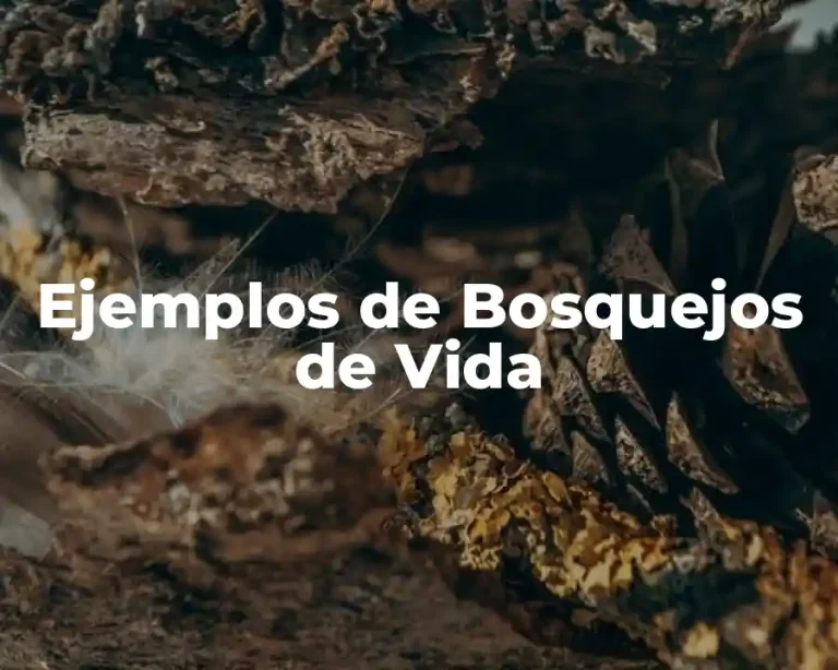 Ejemplos de Bosquejos de Vida