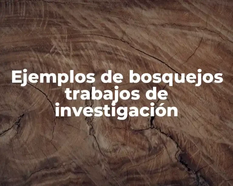 Ejemplos de bosquejos trabajos de investigación