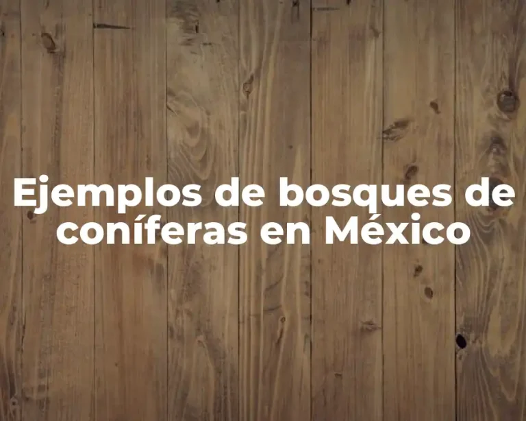 Ejemplos de bosques de coníferas en México