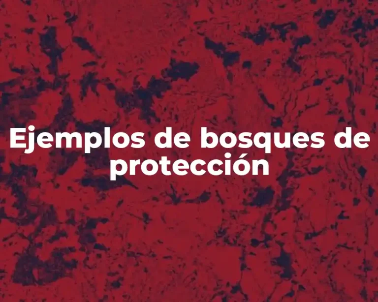 Ejemplos de bosques de protección