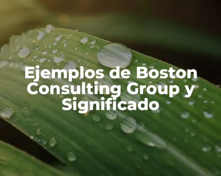 Ejemplos de Boston Consulting Group y Significado