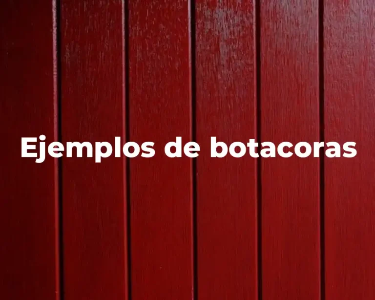 Ejemplos de botacoras