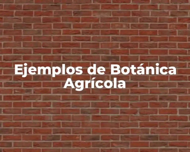Ejemplos de Botánica Agrícola