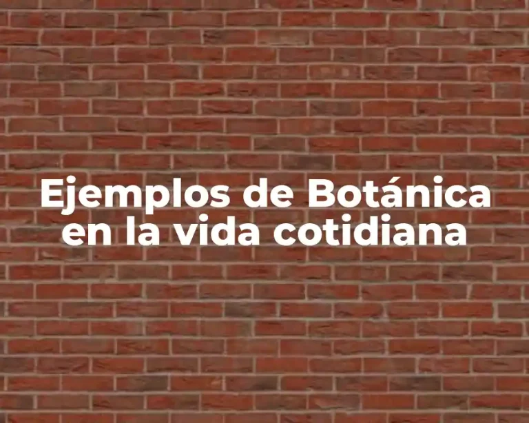 Ejemplos de Botánica en la vida cotidiana