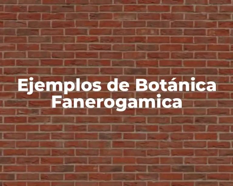 Ejemplos de Botánica Fanerogamica