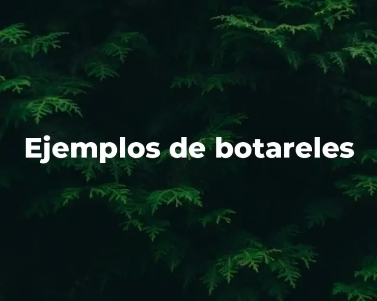 Ejemplos de botareles