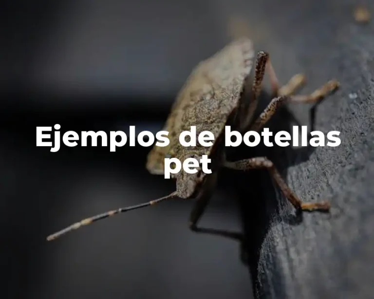 Ejemplos de botellas pet
