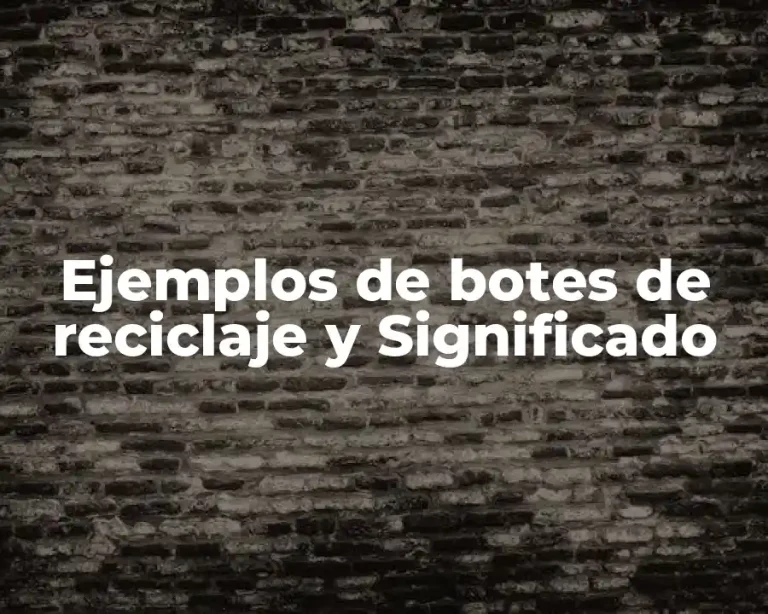 Ejemplos de botes de reciclaje y Significado