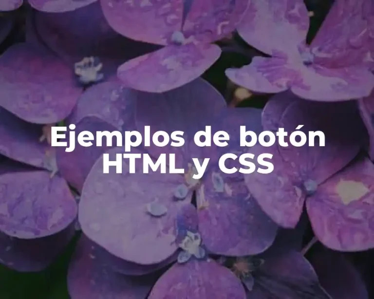Ejemplos de botón HTML y CSS