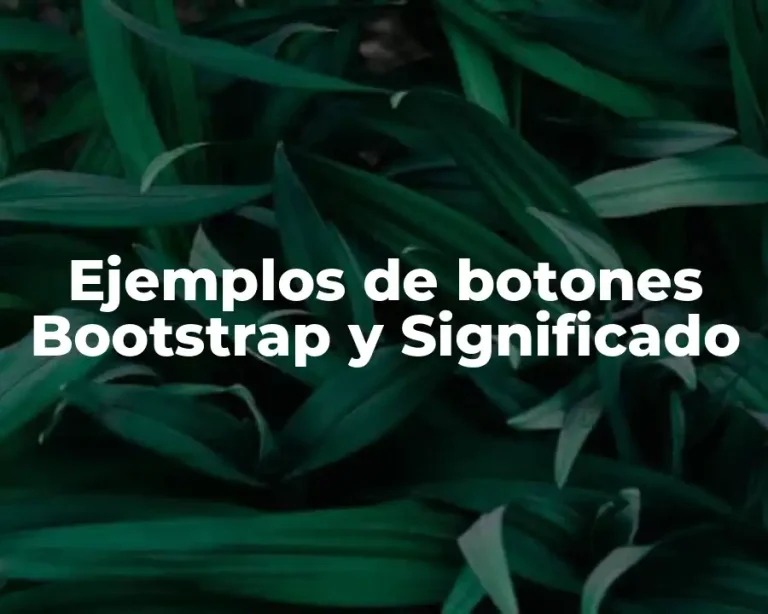 Ejemplos de botones Bootstrap y Significado