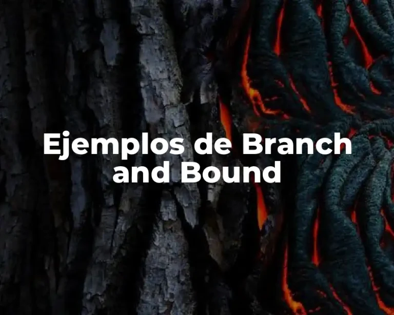Ejemplos de Branch and Bound