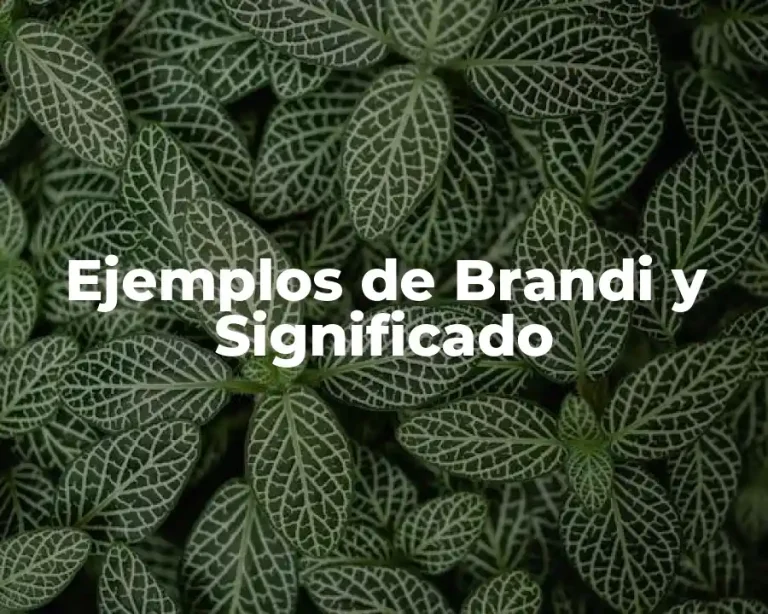 Ejemplos de Brandi y Significado