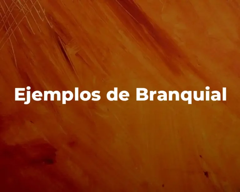 Ejemplos de Branquial