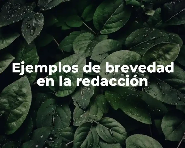 Ejemplos de brevedad en la redacción