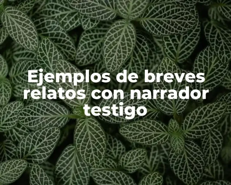 Ejemplos de breves relatos con narrador testigo
