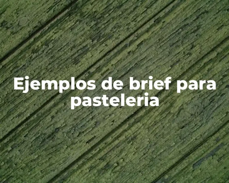 Ejemplos de brief para pasteleria