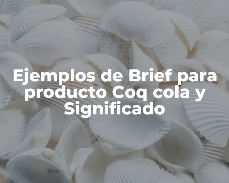Ejemplos de Brief para producto Coq cola y Significado
