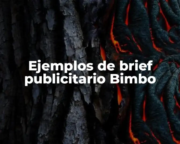 Ejemplos de brief publicitario Bimbo