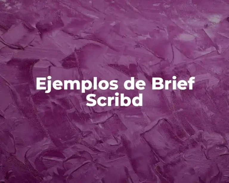 Ejemplos de Brief Scribd