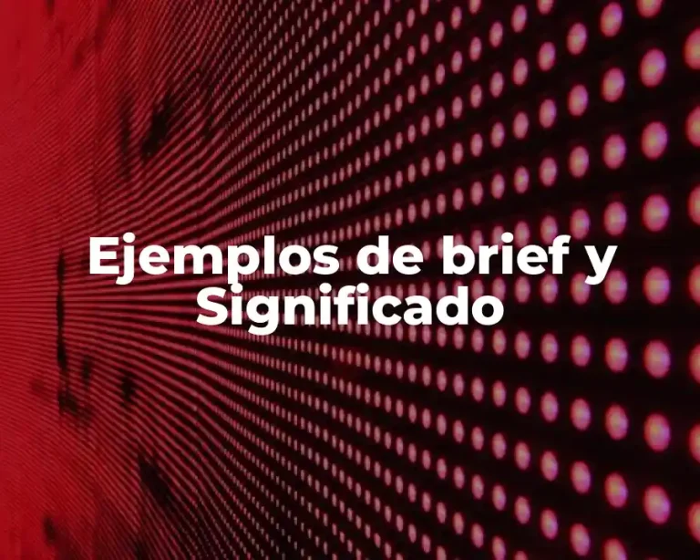 Ejemplos de brief y Significado