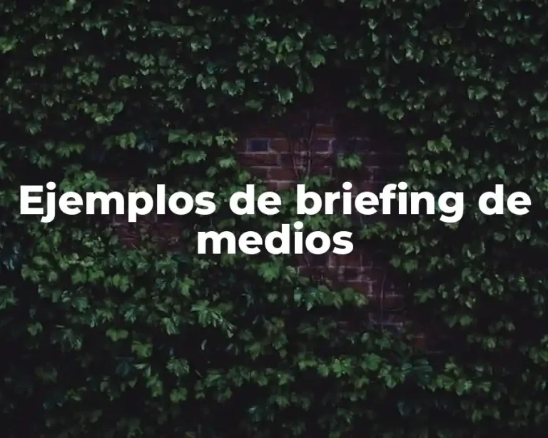 Ejemplos de briefing de medios