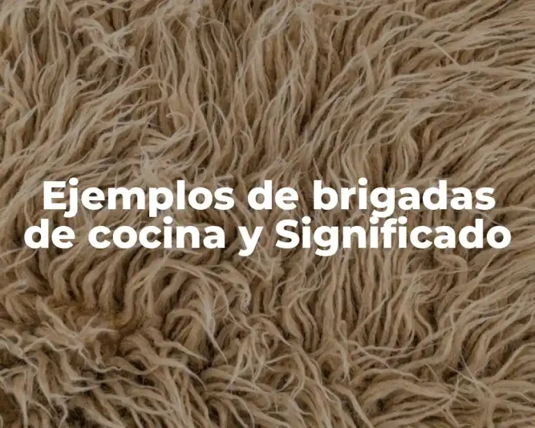 Ejemplos de brigadas de cocina y Significado