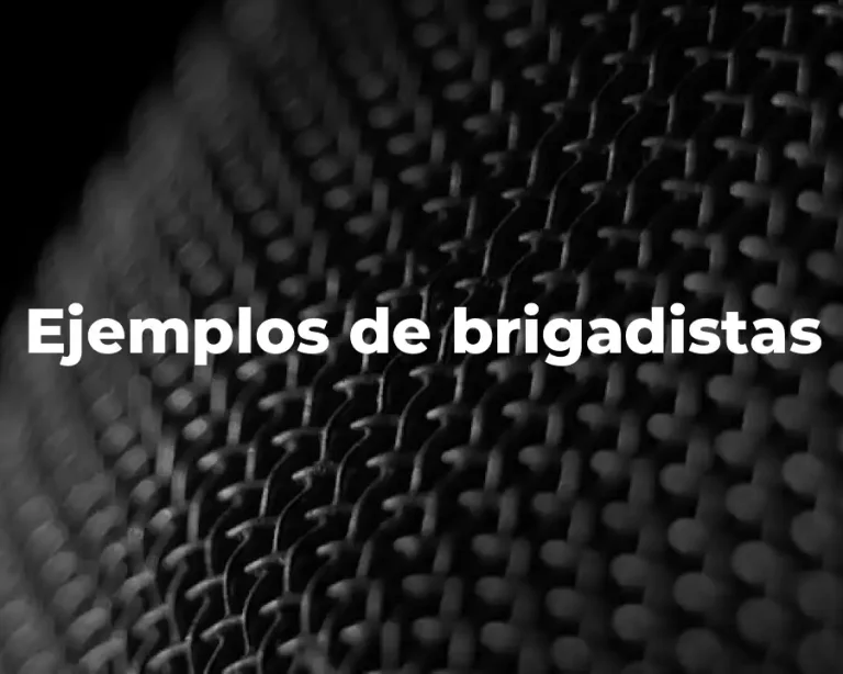 Ejemplos de brigadistas