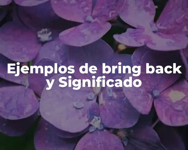 Ejemplos de bring back y Significado