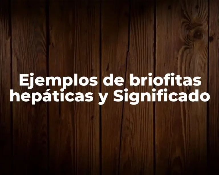 Ejemplos de briofitas hepáticas y Significado