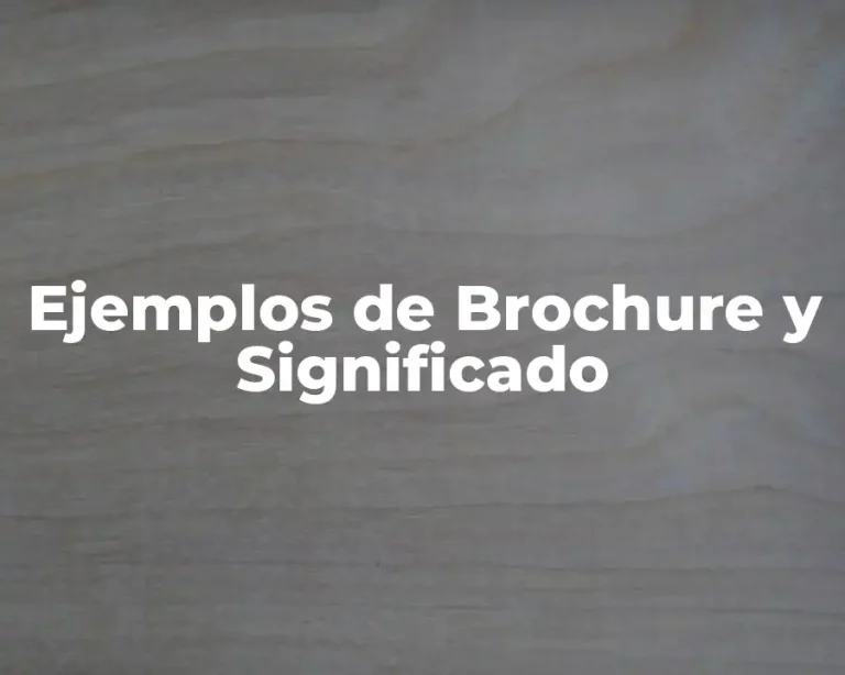 Ejemplos de Brochure y Significado