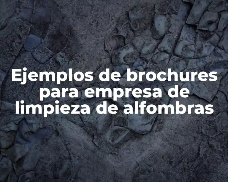 Ejemplos de brochures para empresa de limpieza de alfombras