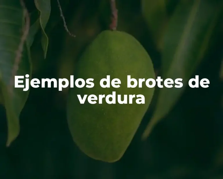 Ejemplos de brotes de verdura