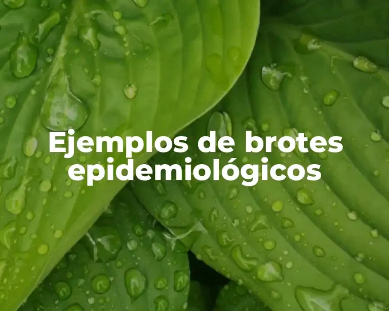 Ejemplos de brotes epidemiológicos