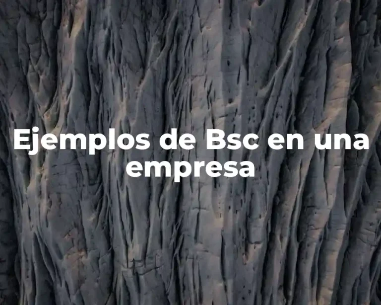 Ejemplos de Bsc en una empresa
