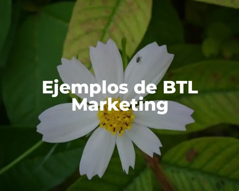 Ejemplos de BTL Marketing