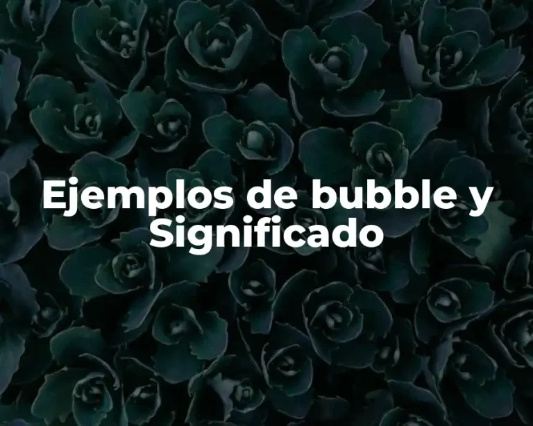 Ejemplos de bubble y Significado