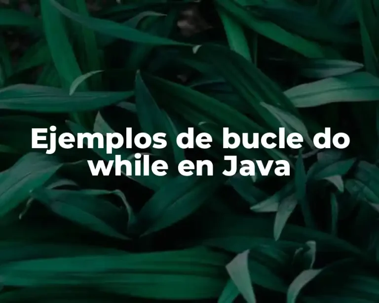 Ejemplos de bucle do while en Java