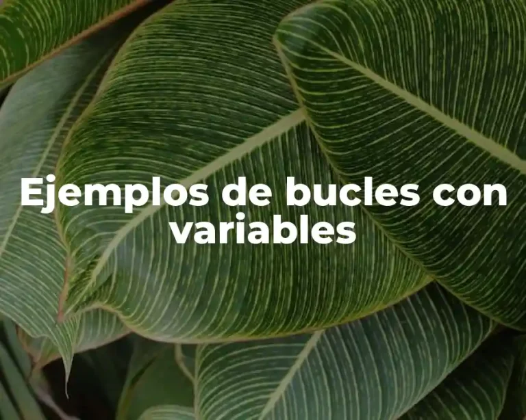 Ejemplos de bucles con variables