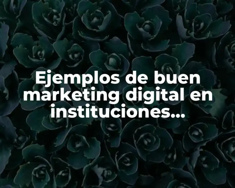 Ejemplos de buen marketing digital en instituciones educativas