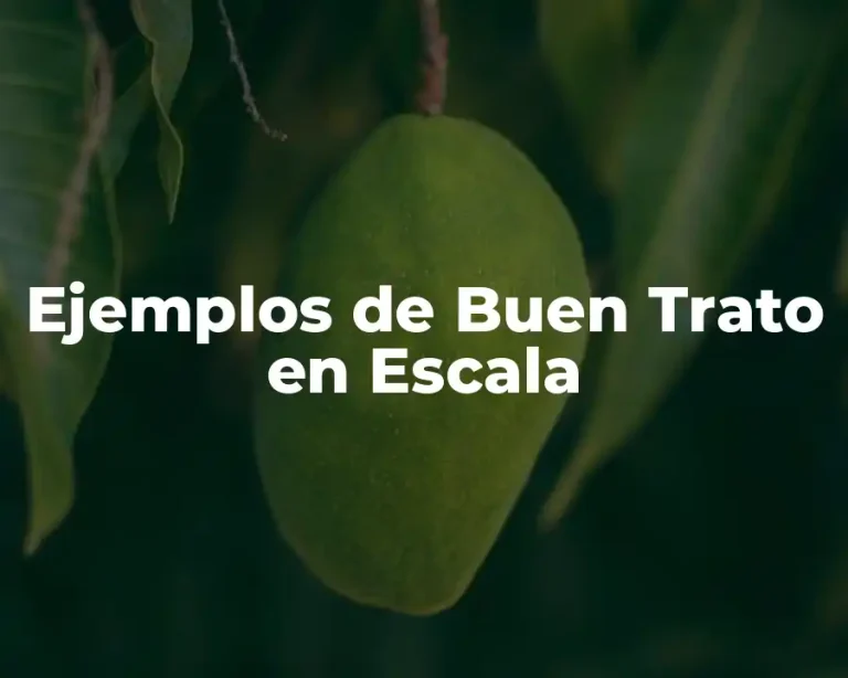 Ejemplos de Buen Trato en Escala