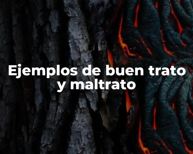 Ejemplos de buen trato y maltrato