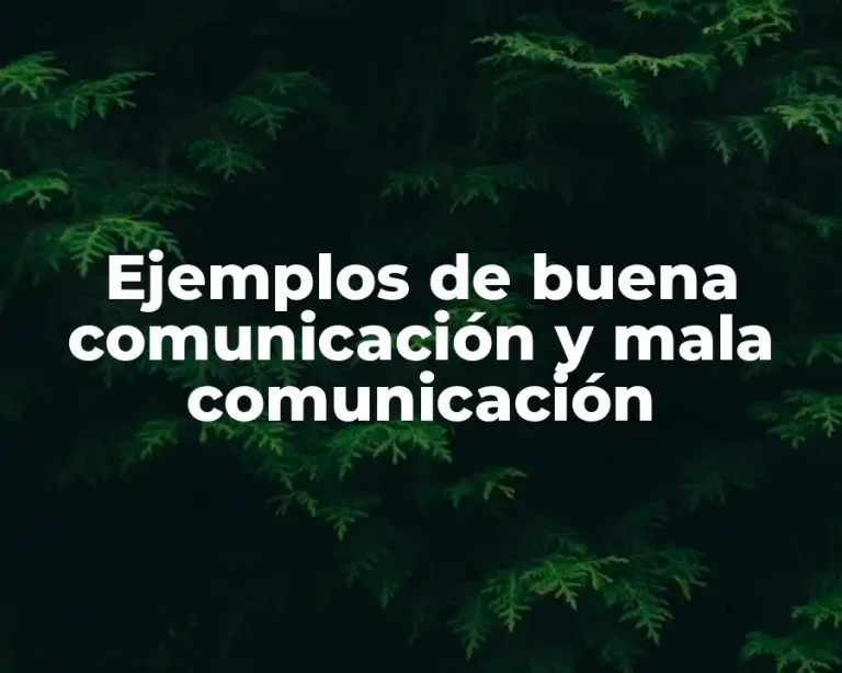 Ejemplos de buena comunicación y mala comunicación