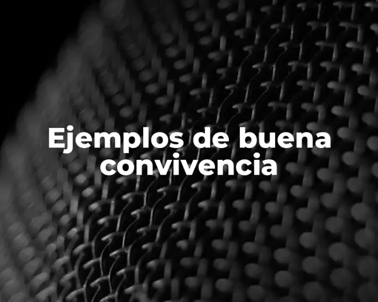 Ejemplos de buena convivencia