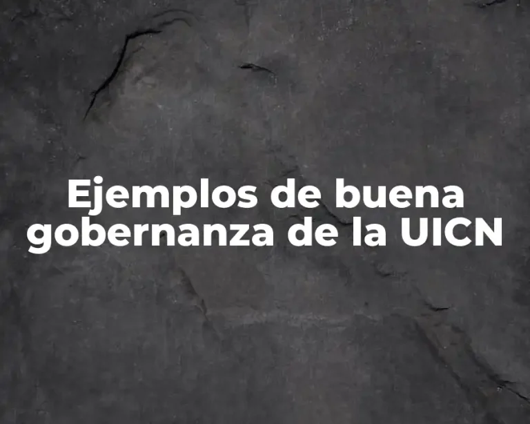 Ejemplos de buena gobernanza de la UICN