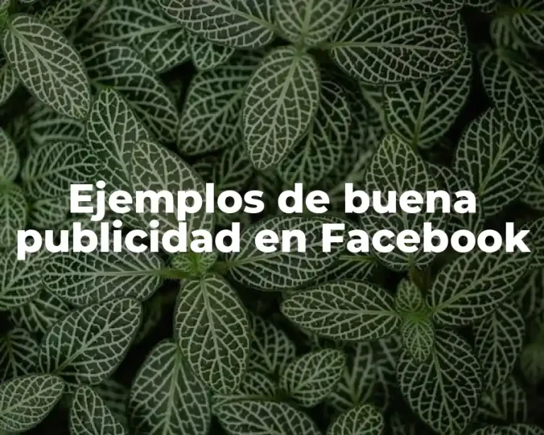 Ejemplos de buena publicidad en Facebook